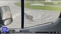 [이슈톡] 미 플로리다 폭우에 도로까지 나온 악어