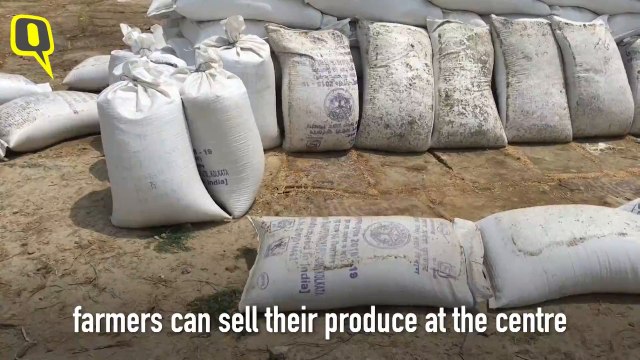 Why Are Farmers Unhappy Despite the Rise in MSP?