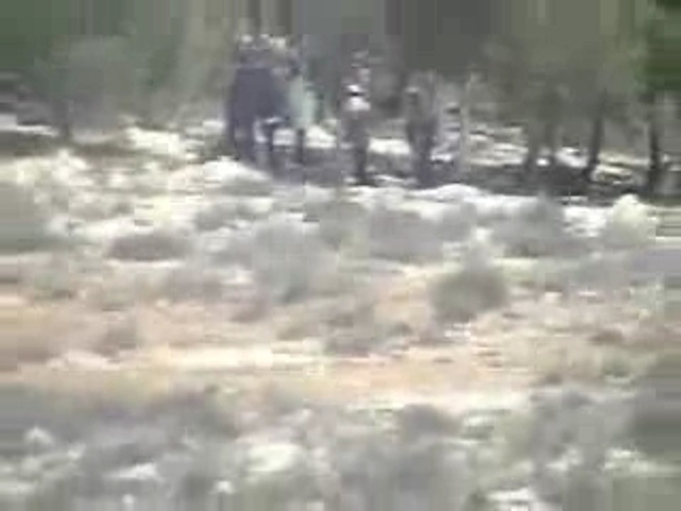 Israeli settlers fire on Palestinian shepherds