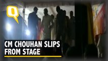 MP CM Shivraj Singh Chouhan Falls From Stage in Chhattarpur