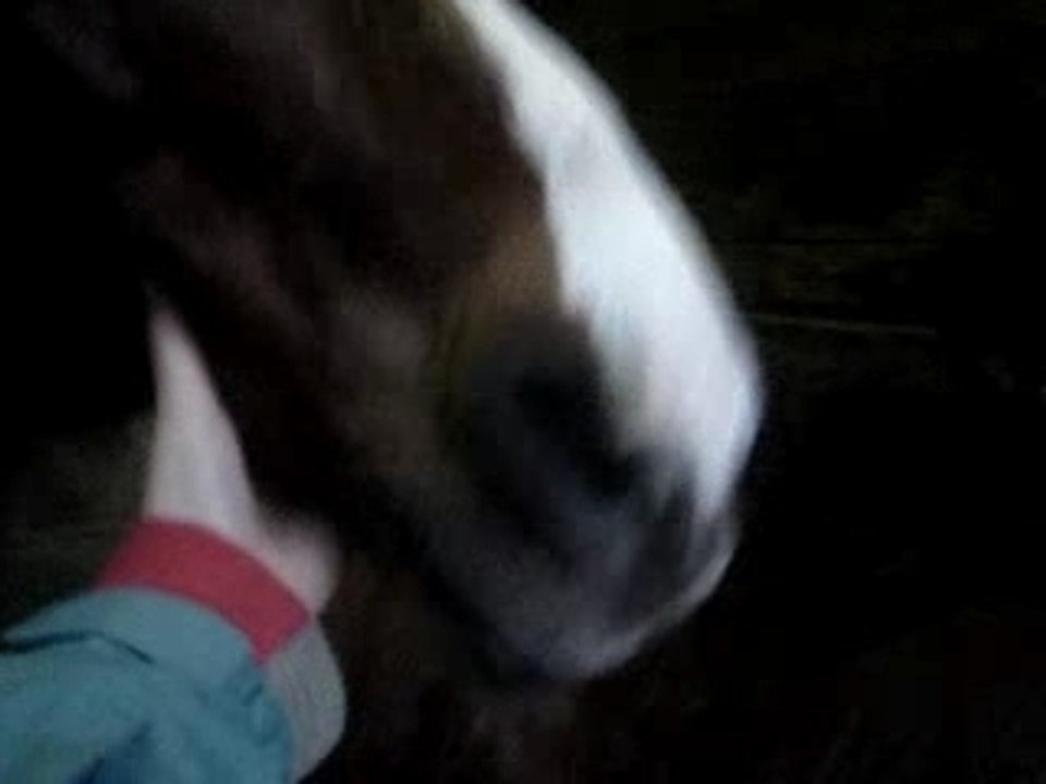 Mariage Gerna - Joske