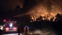 Orman yangını, ekiplerin müdahalesi ile yerleşim merkezlerinden uzaklaştırıldı (2) - İZMİR