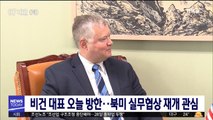 비건 대표 오늘 방한…북미 실무협상 재개 관심