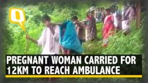 Pregnant Woman Carried For 12 km To Reach Ambulance