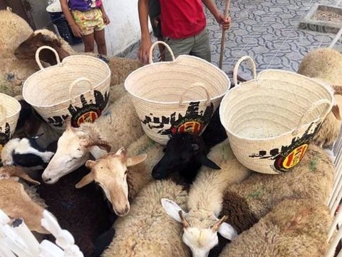 شراو برشا علالش وقضيات متع عيد وفرقوها على العائلات المعوزة في تونس باسم #الترجي