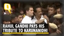 Rahul Gandhi Pays Final Tribute to Karunanidhi