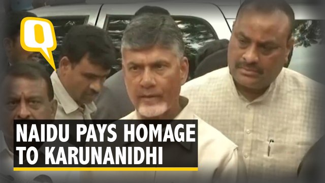N Chandrababu Naidu Pays His Last Respects to Karunanidhi | The Quint