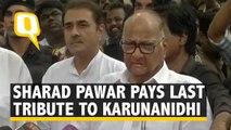 NCP Chief Sharad Pawar Pays Last Respects to Karunanidhi