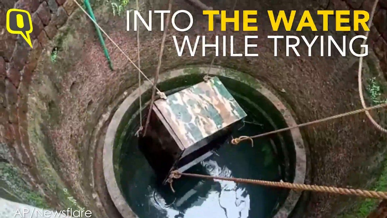 A Leopard and a Dog Trapped in the Same Well Re...