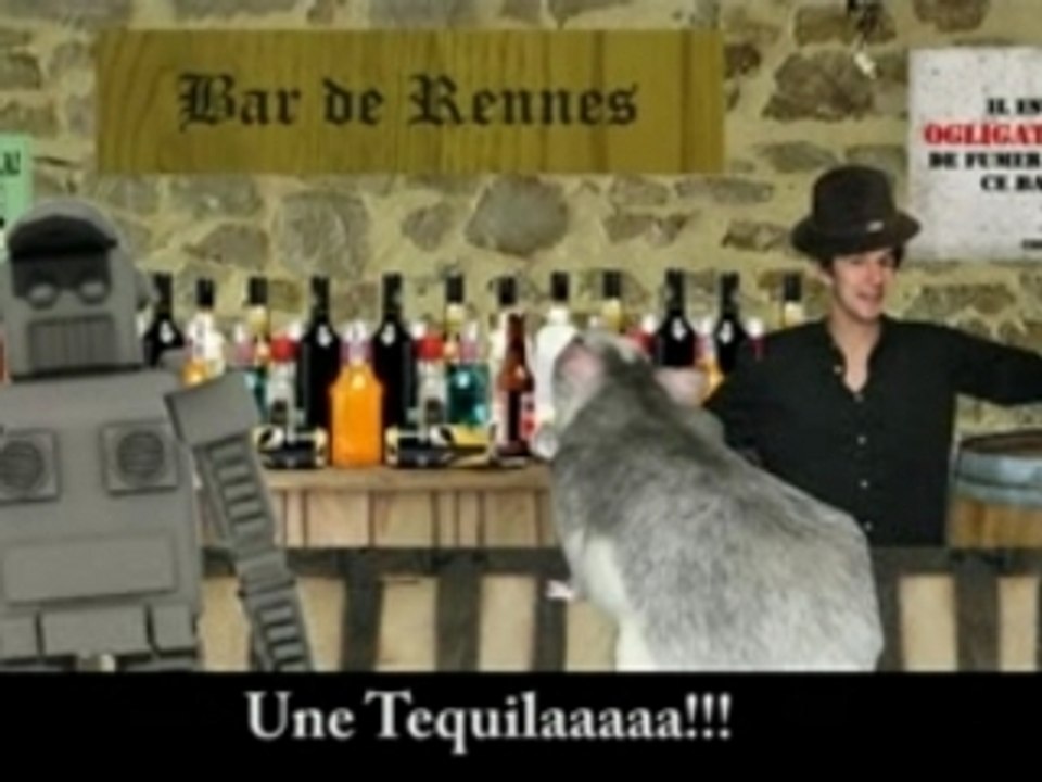 Foetus Rat Ninja 2 - Foetus Dans L' Univers Miroir