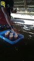 Tea-Seller in Kerala Serves ‘Floating Tea’ in Aftermath of Floods | The Quint