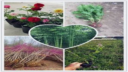 괴산출장안마 -후불100%ョOiOV2671V8135｛카톡ZHF526｝ 괴산전지역출장안마 괴산오피걸 괴산출장마사지 괴산출장안마 괴산출장마사지 괴산콜걸샵안마 괴산출장아로마 괴산출장안마후기⊓㌺∫괴산출장샵