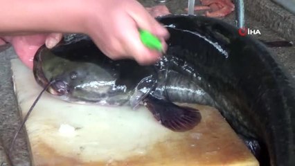 Yayın balığından şiş kebap