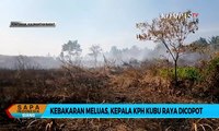 Dianggap Lakukan Pembiaran Lahan Terbakar, Kepala Kesatuan Pengelolaan Hutan Kubu Raya Dicopot