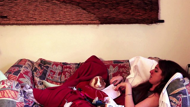 Yo no quiero lastimarme por demás.