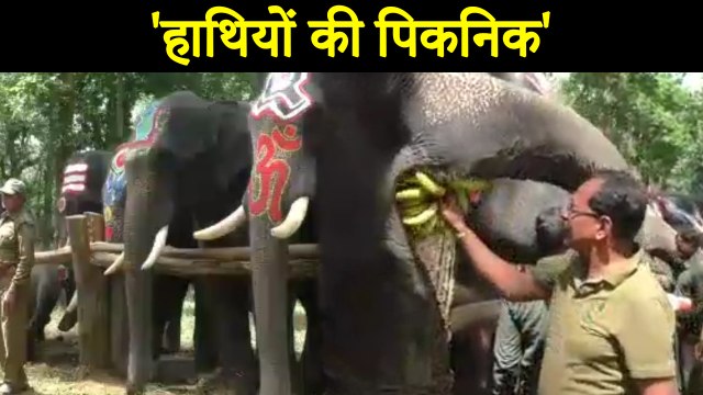 Kanha Tiger Reserve में हाथियों की पिकनिक | वनइंडिया हिंदी