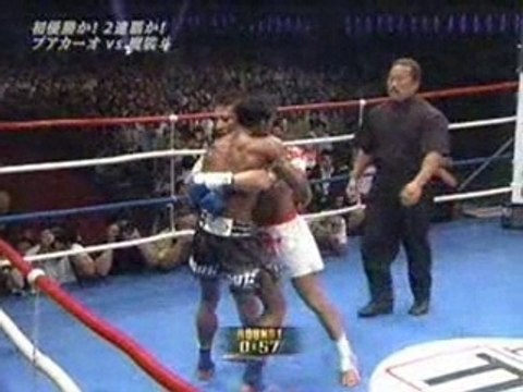 K1 Buakaw world max Japan - Highlights