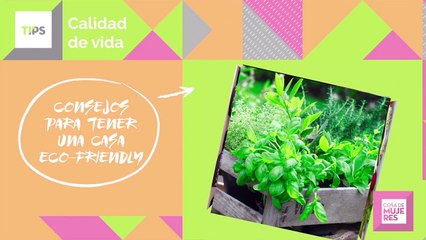 #05 | Tips | Casa Eco Friendly