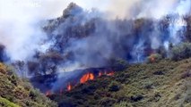 Gran Canaria: Wildfire on Spanish island 'subsides' as winds drop