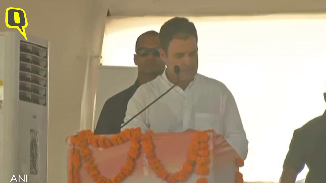 We’ll Not Make Fake Promises Like Modi: Rahul Gandhi in Rajasthan | The Quint