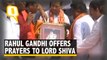 Rahul Gandhi offers prayers to Lord Shiva in Amethi