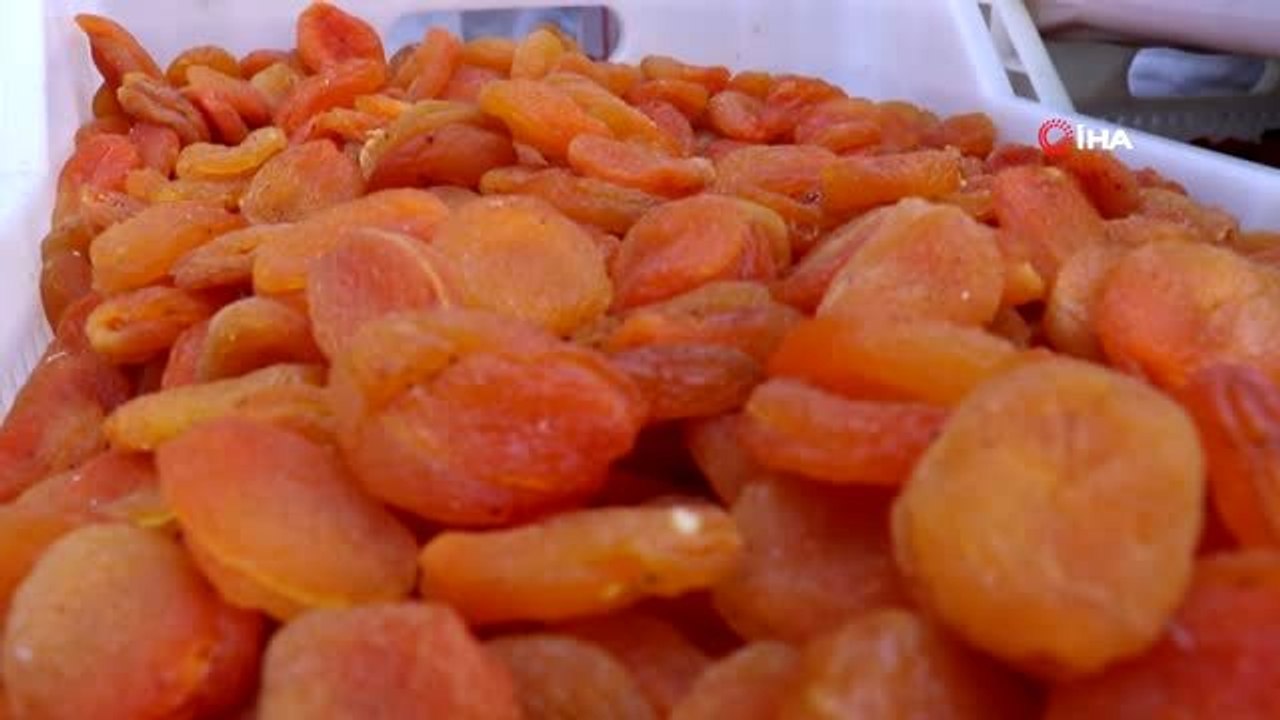 Kayısıda bu yılın mahsulleri pazara inmeye başladı