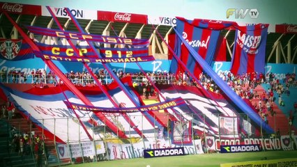 La hinchada de Cerro Porteño desde adentro: "ser hincha es dejar todo en cada partido"