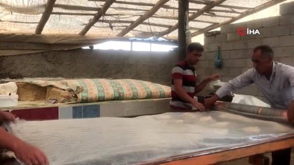 Anadolu'nun meşhur tarhanasından cips yaptılar