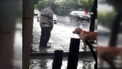 Yağmur altında ağaca bağlanan köpeği böyle yumrukladı
