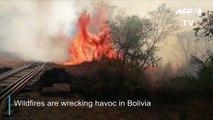 Wildfires burn more than 471.000 hectares of land in Bolivia