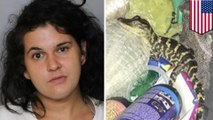Florida woman gets probation after pulling gator from her pants