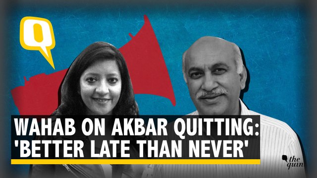 ‘Better Late Than Never,’ Says Ghazala Wahab on MJ Akbar Quitting