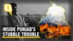 Playing With Fire: Why Punjab’s Farmers Are Forced to Burn Stubble