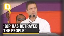Only 15-20 Individuals Benefit From Modi Government: Rahul Gandhi
