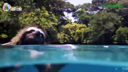 오산출장안마 -후불100%ョOiOM3305M4750｛카톡JK675｝ 오산전지역출장안마 오산오피걸 오산출장마사지 오산안마 오산출장마사지 오산출장콜걸샵 卐₭❖오산출장샵