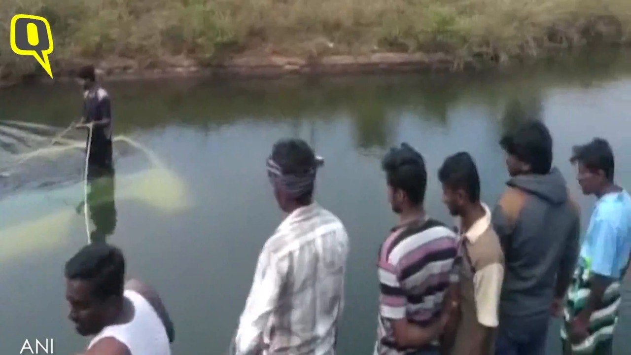 At Least 15 Dead in Bus Accident in Karnataka’s Mandya District