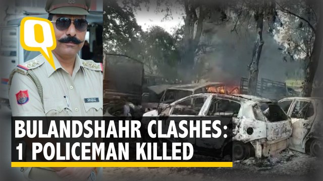 Clashes Over ‘Cow Slaughter’ in Bulandshahr: 2 killed