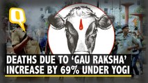 Deaths Due to ‘Gau Raksha’ Increased by 69% Under Yogi Govt in UP