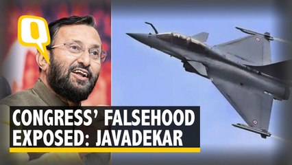 SC Verdict Has Exposed Congress Party's Falsehood: Javadekar