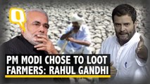 Rahul Gandhi: Won’t Let PM Modi Sleep Until All Farm Loans Waived