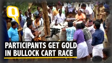 Participants Awarded Gold in a ‘Bullock Cart’ or ‘Rekla’ Race