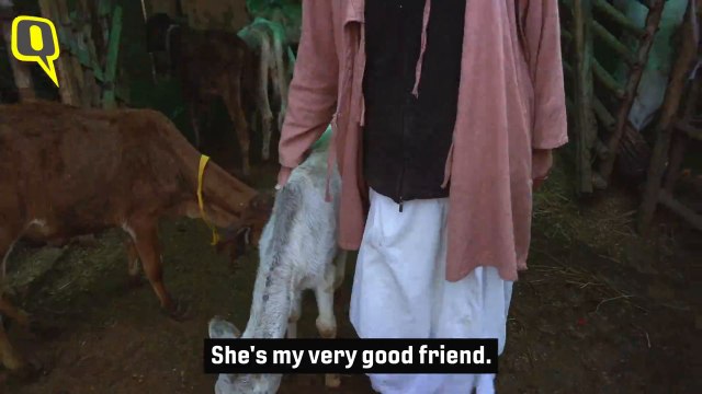 You Can Love Cows Without Killing Humans, Says Sudevi Dasi