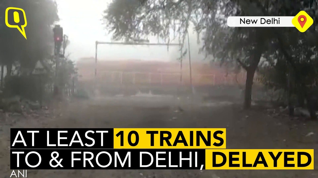 Flights and Trains Delayed as Fog Hampers Air Quality in Delhi