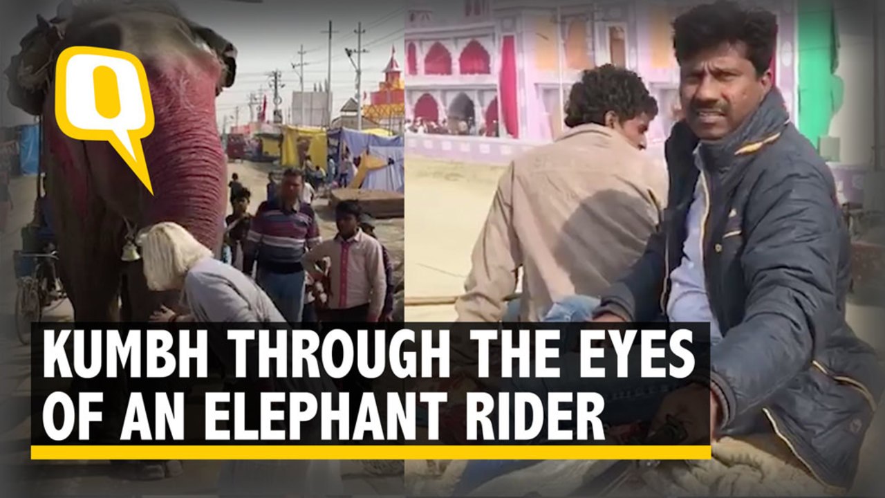 Kumbh Through the Eyes of an Elephant Rider