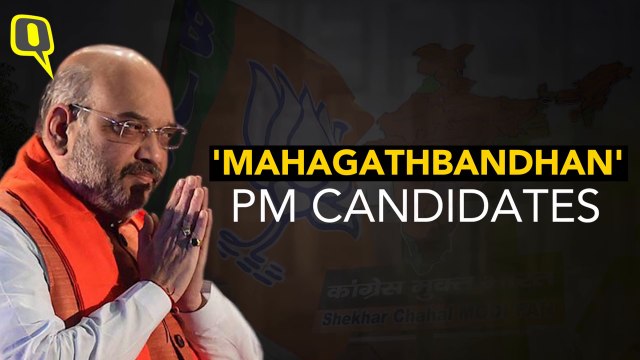 Opposition Will Have a Prime Minister for Every Day of the Week: Amit Shah