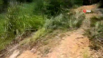 - Laos'ta Otobüs Şarampole Yuvarlandı: 8 Ölü, 29 Yaralı