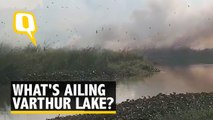 First Bellandur, Now Varthur: Why Bengaluru's Lakes Keep Burning