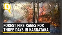 Bandipur Blaze: Authorities Say Local Sabotage, Activists Cry Foul