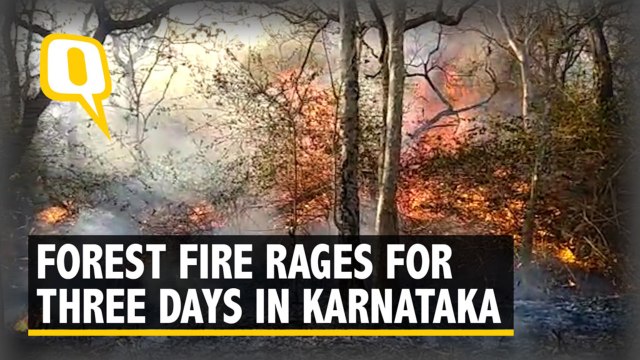 Bandipur Blaze: Authorities Say Local Sabotage, Activists Cry Foul