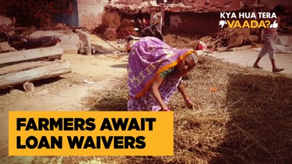 I’m a Farmer, My Loans Have been Waived but Where is the Money?